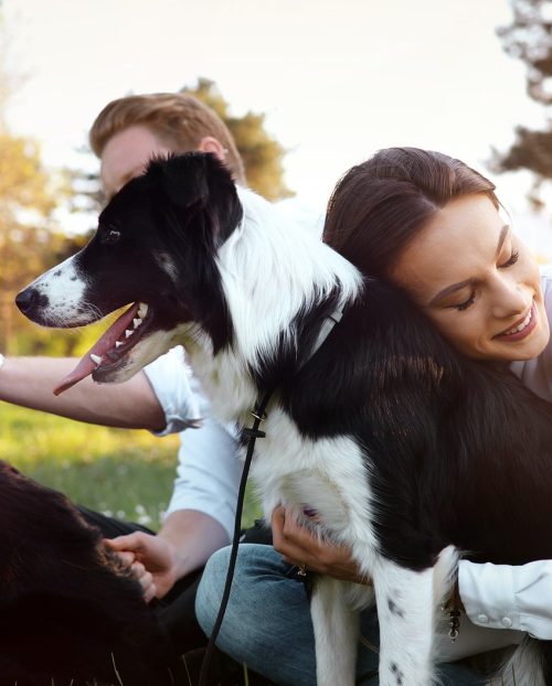 beautiful-brunette-playing-with-dog-in-nature-during-sunset.jpg beautiful-brunette-playing-with-dog-in-nature-during-sunset.jpg