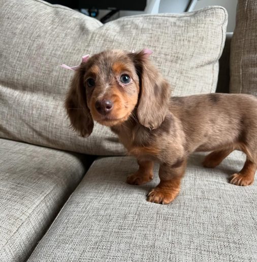 lumithedoxie_1729704039_3485332552622113016_70109965930